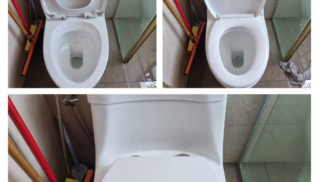 B&A 72 Supply And Replace New Toilet Bowl Cover