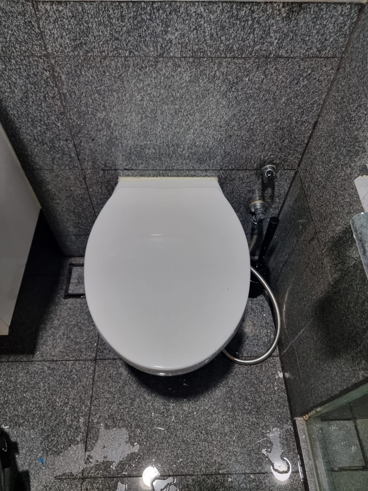 Toilet Seat Cover Replacement 2