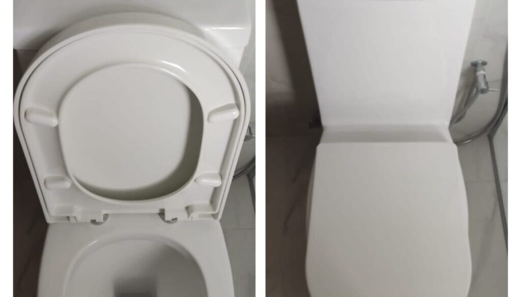 B&A 21 Supply And Replace New Toilet Seat Cover
