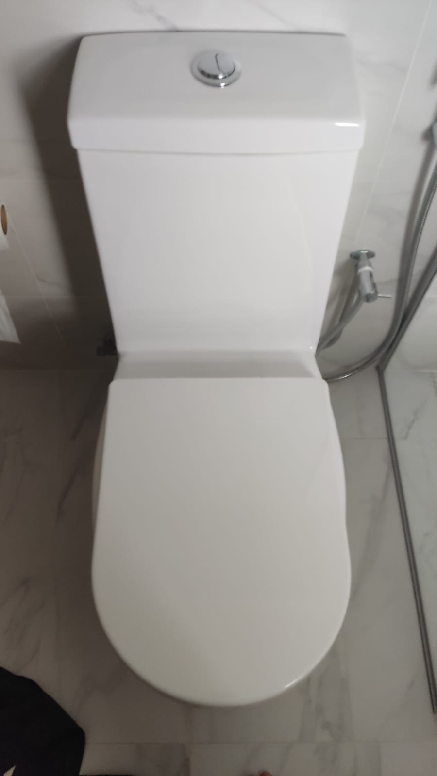 Supply And Replace New Toilet Seat Cover 2